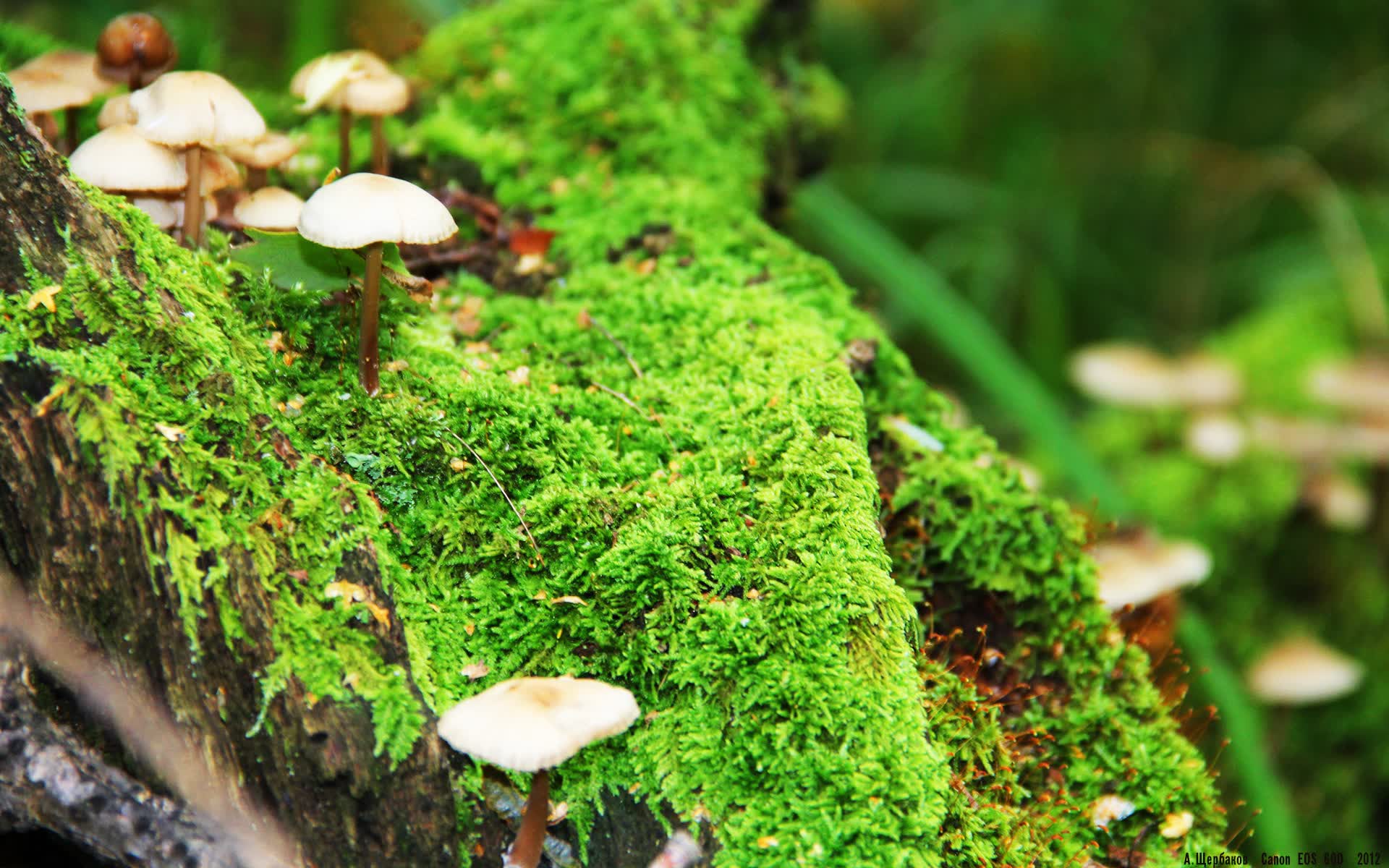 世界体能恢复公益课堂校企联合招募新一批实训基地,体能恢复中心