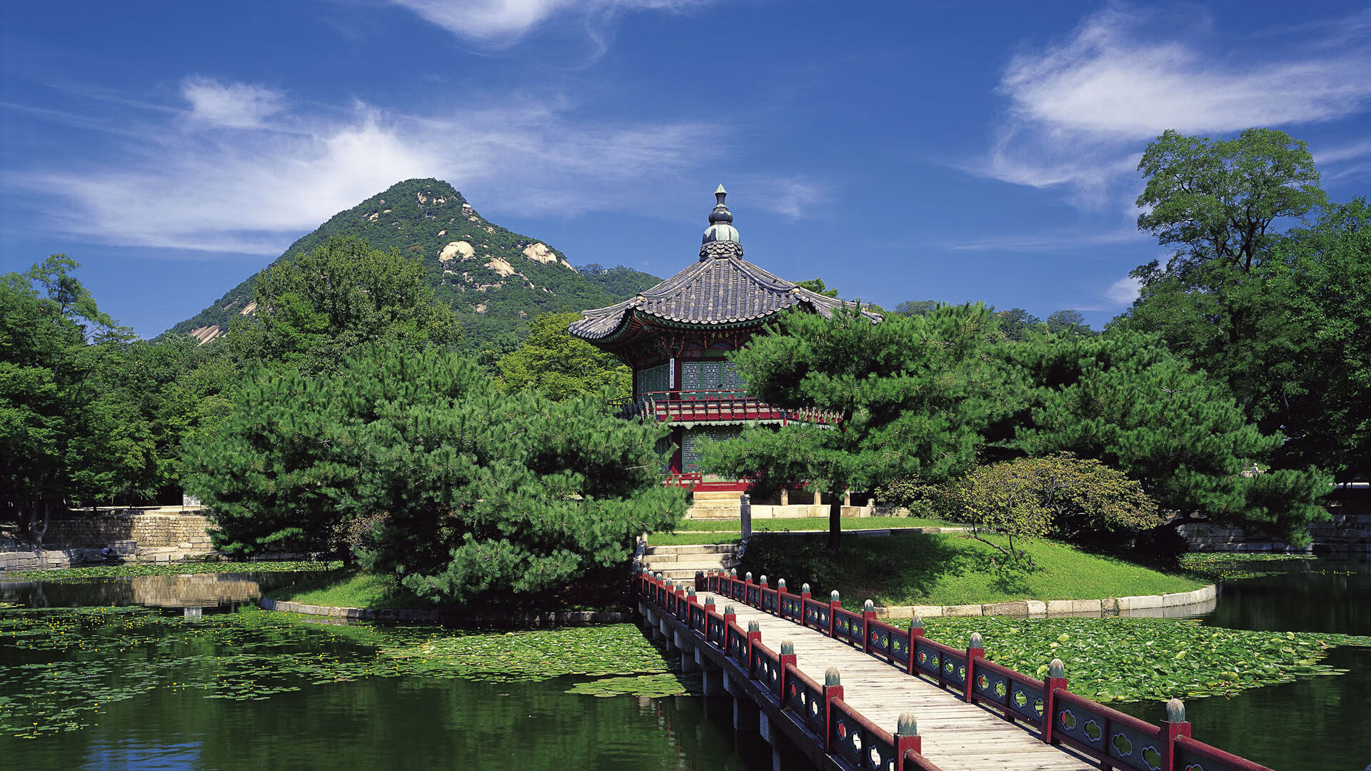世界保龄球高校联赛季终数据分析与优化建议发布，世界保龄球大赛