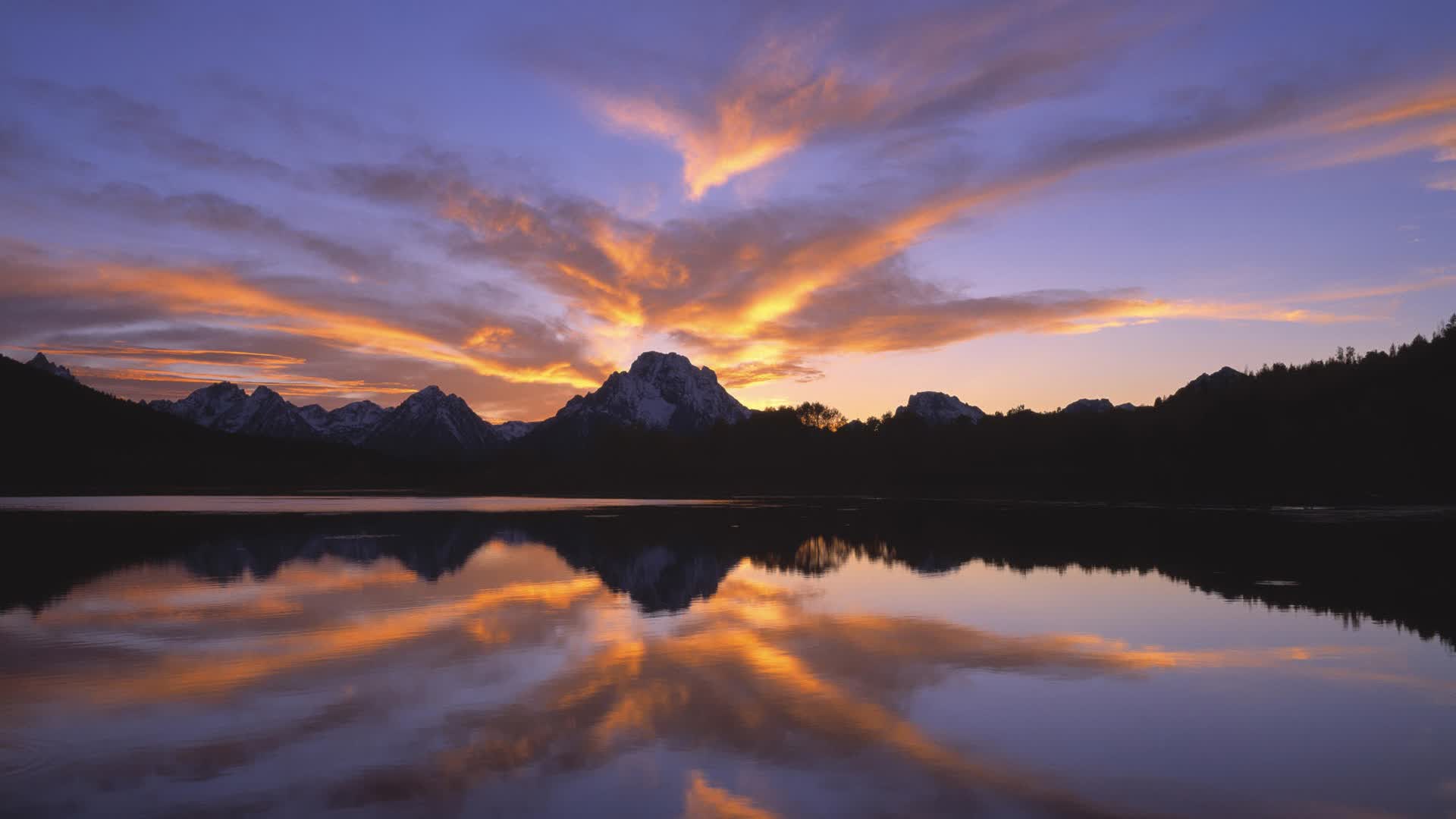 世界拳击文化节：历史回顾与技艺展示并重，世界拳击理事会